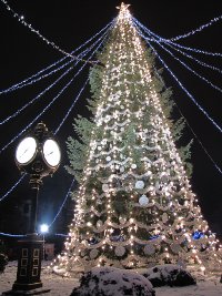 Large public Christmas tree